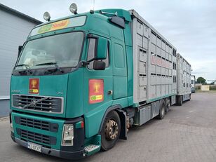 شاحنة نقل المواشي Volvo FH 480 + العربات المقطورة شاحنة نقل المواشي