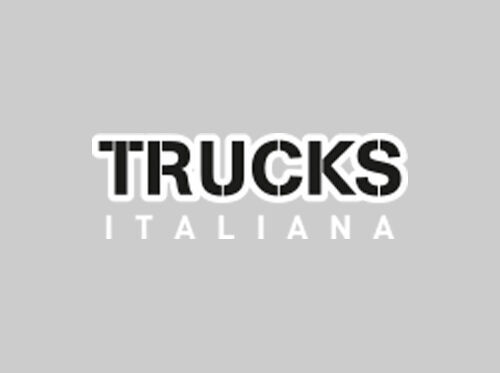 وحدة التخفيض IVECO GRUPPO DIFFERENZIALE POSTERIORE لـ الشاحنات IVECO EUROSTAR