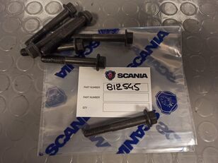 الأجزاء المثبتة FLANGE SCREW (812545) لـ السيارات القاطرة